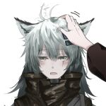  1girl 1other ahoge animal_ears arknights blush brown_coat coat doctor_(arknights) grey_eyes grey_hair hair_between_eyes hair_ornament hairclip headpat kureneko lappland_(arknights) long_hair looking_at_viewer out_of_frame parted_lips scar scar_across_eye simple_background solo_focus white_background 