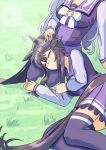  2girls animal_ears bandaid bandaid_on_face biwa_hayahide_(umamusume) black_hair blush breasts commentary_request ear_ornament grass grey_hair harakomeshi headpat highres horse_ears horse_girl horse_tail lap_pillow long_hair long_sleeves lying multiple_girls narita_brian_(umamusume) on_grass on_ground on_side outdoors pleated_skirt ponytail purple_serafuku purple_shirt purple_skirt rope school_uniform seiza serafuku shimenawa shirt sitting skirt sleeping tail tracen_school_uniform umamusume winter_uniform 