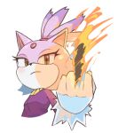  1girl blaze_the_cat eyelashes fire forehead_jewel fur-trimmed_gloves fur_trim furry furry_female gloves gold_necklace jacket jewelry looking_at_viewer middle_finger necklace ponytail purple_fur purple_jacket simple_background sonic_(series) supsross white_background white_gloves yellow_eyes 