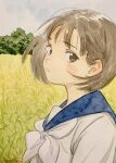  1girl blue_sailor_collar blush brown_eyes brown_hair commentary_request expressionless field highres looking_at_viewer nanase774938 neckerchief original outdoors painting_(medium) rice_(plant) sailor_collar school_uniform serafuku shirt short_hair sky solo traditional_media upper_body watercolor_(medium) white_neckerchief white_shirt 