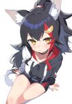  1girl absurdres animal_ear_fluff animal_ears black_choker black_hair black_hoodie black_shorts choker hair_ornament hairpin highres hiroikara_(smhong04) hololive hood hoodie long_hair looking_at_viewer multicolored_hair official_alternate_costume ookami_mio ookami_mio_(3rd_costume) ponytail redhead shorts streaked_hair tail two-tone_hoodie virtual_youtuber white_background white_hoodie wolf_ears wolf_girl wolf_tail yellow_eyes 