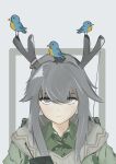  1girl absurdres antlers arknights bird bird_on_antlers blue_bird cross_tie deer_antlers firewatch_(arknights) green_shirt grey_background grey_eyes grey_hair hair_between_eyes highres lenn_(elnn4970) long_hair looking_at_viewer portrait radio reindeer_antlers shirt simple_background solo straight-on 