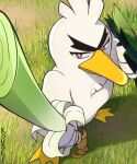 beak bird brown_eyes grass highres holding holding_shield holding_weapon kusuriya looking_at_viewer no_humans pokemon pokemon_(creature) shield signature sirfetch&#039;d solo spring_onion standing thick_eyebrows weapon 
