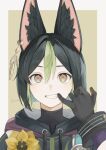  1boy animal_ear_fluff animal_ears artist_name black_gloves black_hair blunt_ends border brown_eyes brown_gloves clenched_teeth commentary_request drawstring earrings flower fox_ears genshin_impact gloves green_background green_hair hair_between_eyes highres hood hood_down hoodie jewelry looking_at_viewer male_focus marota_0 medal mouth_pull multicolored_hair outside_border short_hair simple_background single_earring solo streaked_hair teeth tighnari_(genshin_impact) turtleneck twitter_username two-tone_gloves upper_body white_border wrist_cuffs yellow_flower 
