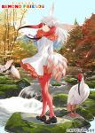  1girl animal bird bird_girl bird_tail bird_wings copyright_name feathered_wings head_wings highres jacket japanese_crested_ibis_(kemono_friends) kemono_friends kemono_friends_kingdom long_hair looking_at_viewer multicolored_hair nature official_art outdoors pantyhose redhead shoes skirt tail two-tone_hair white_hair wings yellow_eyes 