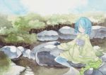  1girl animal_ears blue_eyes blue_hair boulder forest head_fins highres japanese_clothes lake long_sleeves mermaid monster_girl nature nemi_(caprainl) obi short_hair smile solo touhou traditional_media tree wakasagihime water wide_sleeves 