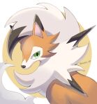  animal_focus artist_name brown_fur commentary_request green_eyes highres iwasi_29 lycanroc lycanroc_(dusk) no_humans pokemon pokemon_(creature) simple_background snout tail twitter_username two-tone_background white_background white_fur yellow_background 