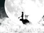  kingdom_hearts tagme 