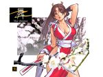 ass breasts brown_eyes brown_hair erect_nipples fan flower japanese_clothes king_of_fighters long_hair looking_back panties ponytail shiranui_mai sideboob snk solo 