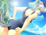 adjusting_swimsuit animal_ears beach blue_eyes blush cloud from_behind hat inubashiri_momiji lens_flare looking_back maki_(artist) maki_(seventh_heaven_maxion) ocean one-piece_swimsuit palm_tree short_hair silver_hair sky solo sun swimsuit tail thighs tokin_hat touhou tree wolf_ears wolf_tail