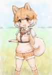  1girl animal_ears blue_sky brown_eyes brown_hair cardigan dog_(shiba_inu)_(kemono_friends) dog_ears dog_girl dog_tail elbow_gloves extra_ears gloves grey_hair highres kemono_friends looking_at_viewer multicolored_hair necktie outdoors shirt short_hair shorts sky socks solo tail two-tone_hair zzz_ansh 