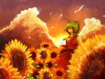  ascot cloud expressionless flower flower_field green_hair kaio_(watagami) kazami_yuuka nature plaid plaid_skirt plaid_vest red_eyes scenery skirt skirt_set standing sunflower sunset touhou yukaio 