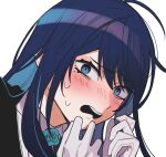  1girl ado_(utaite) ahoge biting_own_lip blue_eyes blue_flower blue_hair blue_rose blush chando_(ado) cloud_nine_inc commentary_request dark_blue_hair flower flower_brooch gloves hair_between_eyes hands_up long_hair looking_at_viewer mole mole_under_eye nervous_sweating open_mouth portrait riseno rose sidelocks simple_background solo sweat teeth upper_teeth_only utaite white_background white_gloves 