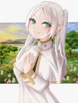  1girl blush capelet commentary_request daigoro227 frieren green_eyes grey_hair highres landscape long_hair long_sleeves looking_at_viewer parted_bangs pointy_ears smile solo sousou_no_frieren twintails white_capelet white_hair 