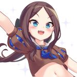 1girl blue_eyes blush breasts brown_hair brown_shirt crop_top fate/grand_order fate_(series) female_focus forehead leonardo_da_vinci_(fate) leonardo_da_vinci_(fate/grand_order) leonardo_da_vinci_(rider)_(fate) long_hair looking_at_viewer midriff milkshakework navel open_mouth puffy_short_sleeves puffy_sleeves sailor_collar shirt short_sleeves sidelocks simple_background small_breasts solo sparkle stomach teeth upper_body upper_teeth_only white_background