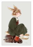  1girl animal_ears border brown_footwear brown_hair closed_mouth dress green_dress head_wreath highres long_sleeves looking_at_viewer natsu_(rodysanp) neck_ribbon original rabbit_ears rabbit_girl rabbit_tail red_ribbon red_socks ribbon short_hair sitting smile socks solo tail white_border 