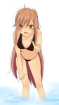  bikini brown_eyes brown_hair frills leaning_forward long_hair ookami-san ookami-san_to_shichinin_no_nakamatachi ookami_ryouko swimsuit un0 wading water 