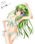  bikini frog front-tie_top green_eyes green_hair kochiya_sanae long_hair mozya shochuumimai swimsuit touhou translated 