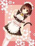  apron bell bell_collar brown_hair cat_ears cat_pose cat_tail collar garter_straps maid maid_headdress nomu original paw_pose red_eyes short_hair solo tail thigh-highs thighhighs white_legwear white_thighhighs 