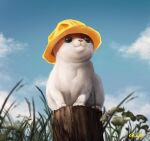  animal_focus artist_name blue_sky cat clouds cloudy_sky commentary day english_commentary full_body grass hat highres no_humans original outdoors sitting skullchimes sky solo watermark yellow_headwear 