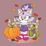  1girl animal_ears badpinku blaze_the_cat cape cat_ears cat_girl cat_tail fence forehead_jewel fur-trimmed_cape fur-trimmed_footwear fur_trim furry furry_female highres pink_footwear ponytail pumpkin purple_fur simple_background smile sonic_(series) tail yellow_eyes 