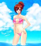  breasts brown_eyes brown_hair cleavage hand_on_hip highres large_breasts meiko nez-doll ponytail project_diva project_diva_2nd short_hair smile solo swimsuit vocaloid 