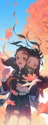  1boy 1girl autumn_leaves belt bit_gag brother_and_sister brown_eyes brown_hair day earrings fingernails floating_hair gag haori highres japanese_clothes jewelry kamado_nezuko kamado_tanjirou kimetsu_no_yaiba leaf long_fingernails long_hair long_sleeves looking_at_viewer maple_leaf open_mouth outdoors pink_eyes reaching reaching_towards_viewer scar scar_on_face siblings sky smile sua_lucid tree very_long_hair 