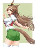  1girl animal_ears braid brown_hair clenched_hand commentary ear_scrunchie french_braid from_behind green_scrunchie green_shorts grey_background gym_shirt gym_shorts gym_uniform highres horse_ears horse_girl horse_tail kemuri_(etep3372) leaning_forward long_hair looking_at_viewer looking_back open_mouth orange_eyes satono_diamond_(umamusume) scrunchie shirt short_sleeves shorts smile solo standing t-shirt tail tail_through_clothes thigh-highs umamusume very_long_hair white_shirt white_thighhighs wind 