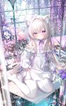 1girl ahoge animal_ears bilibili cat_ears cat_girl chen_bin closed_mouth dress flower full_body highres indoors original pantyhose smile tagme violet_eyes watermark white_dress white_hair white_pantyhose wisteria