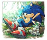  1boy animal_feet bird closed_eyes crossed_legs flicky_(character) gloves grass green_eyes highres one_eye_closed quill rabbit shoes show_chiku-by sleeping smile sonic_(series) sonic_the_hedgehog sunlight tail white_gloves 