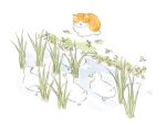  animal animal_focus bird cat day duck highres nekomaki no_humans orange_cat original outdoors painting_(medium) plant sitting swimming traditional_media water watercolor_(medium) white_background 