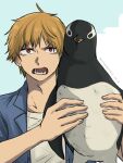  1boy animal bird blonde_hair blue_shirt chainsaw_man commentary denji_(chainsaw_man) english_commentary holding holding_animal holding_bird male_focus penguin red_eyes rinneko_art sharp_teeth shirt solo sweatdrop teeth twitter_username 