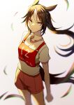  1girl animal_ears blurry blurry_background breasts brown_hair character_request depth_of_field grass highres horse_ears horse_girl horse_tail long_hair looking_at_viewer mommy_maro original personification shirt shorts solo tail umamusume 