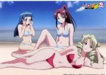  beach bikini blonde_hair blue_hair breasts brown_eyes brown_hair card card_(medium) cleavage drill_hair fujisaki_aya glasses highres kujou_rin legs long_hair lying navel on_side ponytail purple_eyes swimsuit tenjouin_saki to_love-ru toloveru violet_eyes 