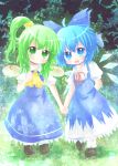  blue_eyes blue_hair blush child cirno daiyousei fang green_eyes green_hair hand_on_chest hand_on_own_chest holding_hands open_mouth side_ponytail smile touhou wings yuya_(minus-k) yuya_(pixiv) 