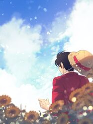  1boy a28841434 back black_hair commentary flower hat highres holding male_focus monkey_d._luffy one_piece plant red_shirt scar scar_on_face shirt short_hair sky solo straw_hat sunflower symbol-only_commentary 