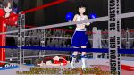  3d_custom_girl boxing catfight lucky10200 tagme 