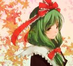  bow dress face front_ponytail green_eyes green_hair hair_bow hair_ribbon kagiyama_hina leaf leaf_background light_smile maple_leaf ribbon solo touhou 