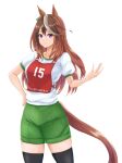  1girl animal_ears black_thighhighs brown_hair character_name closed_mouth commentary cowboy_shot earrings green_shorts gym_shirt gym_shorts gym_uniform hand_on_own_hip highres horse_ears horse_girl horse_tail jewelry kemuri_(etep3372) long_hair looking_at_viewer multicolored_hair race_bib shirt short_sleeves shorts simple_background single_earring smile solo standing streaked_hair symboli_rudolf_(umamusume) t-shirt tail thigh-highs umamusume violet_eyes white_background white_hair white_shirt 