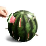  food fruit hands lowres original pop-up_pirate popsicle suika_bar watermelon 