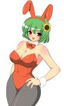  bad_id breasts bunny_ears bunny_girl bunnysuit cleavage flower green_hair huge_breasts kazami_yuuka kyokutou_hentai_samurai pantyhose rabbit_ears red_eyes short_hair smile solo sunflower thick_thighs thighs touhou 