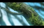  bad_id branch close-up letterboxed moss original realistic sky tree 