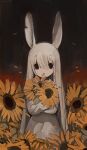  1girl :&lt; absurdres animal_ears brown_eyes closed_mouth commentary_request cowboy_shot dress falling_petals flower grey_dress grey_hair highres holding holding_flower long_hair long_sleeves looking_at_viewer notched_ear original partial_commentary petal_in_mouth petals rabbit_ears shirokujira solo standing straight-on sunflower very_long_hair yellow_flower 