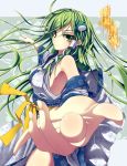  detached_sleeves frog glycyrrhizae green_eyes green_hair hair_ornament kochiya_sanae long_hair snake solo touhou 