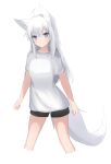  1girl absurdres animal_ear_fluff animal_ears black_shorts breasts closed_mouth commentary_request cropped_legs fox_ears fox_girl fox_tail hair_between_eyes highres kuronagi_(mitora_uwu) long_hair looking_at_viewer original shirt short_shorts short_sleeves shorts simple_background small_breasts solo tail very_long_hair violet_eyes white_background white_hair white_shirt 