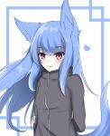  1girl absurdres animal_ear_fluff animal_ears arm_behind_back arm_grab black_jacket blue_background blue_hair blush breasts closed_mouth commentary_request fang fang_out floating_hair fox_ears fox_girl fox_tail heart highres jacket kuronagi_(mitora_uwu) long_hair looking_at_viewer original small_breasts smile solo tail track_jacket two-tone_background upper_body very_long_hair violet_eyes white_background 
