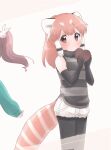  2girls absurdres animal_ears brown_eyes brown_hair chocolate elbow_gloves extra_ears gloves highres kemono_friends kuromitsu_(9633_kmfr) long_hair multiple_girls pantyhose red_panda_(kemono_friends) red_panda_ears red_panda_girl red_panda_tail ribbon shorts simple_background sleeveless sweater tail twintails valentine 