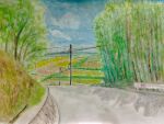  bamboo bamboo_forest blue_sky colored_pencil_(medium) farm forest highres horizon nature original pcpqapfxcw0ky8w power_lines road rural sky sleeveless traditional_media utility_pole 