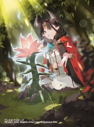  1girl 2026 aura black_hair blue_aura bracelet brown_horns chest_jewel clothing_cutout commentary_request copyright_notice duel_masters fiona_(duel_masters) flower forest gold_trim horns jewelry long_hair low_twintails mowachichi nature navel navel_cutout official_art open_clothes open_robe outdoors pink_flower pointy_ears red_robe robe sitting solo third_eye triclops twintails wariza yellow_eyes 