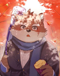  1boy autumn autumn_leaves black_eyes blue_scarf commentary_request dog_boy eating fangs food furry furry_male grey_jacket highres holding holding_food jacket leaf male_focus maple_leaf moritaka_(housamo) outdoors scar scar_on_face scarf shirt solo sweet_potato tokyo_afterschool_summoners upper_body weapon_case white_shirt yano_(zri_088) 
